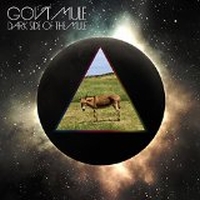 Gov't Mule - Dark Side Of The Mule