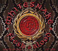 Whitesnake - Flesh & Blood (Super Luxury Box Set)