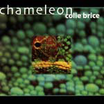 Brice, Collie - Chameleon