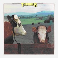 Thunder - Headphones For Cows