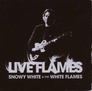 White, Snowy - Live Flames