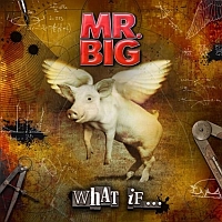 Mr. Big - What If ..., box set